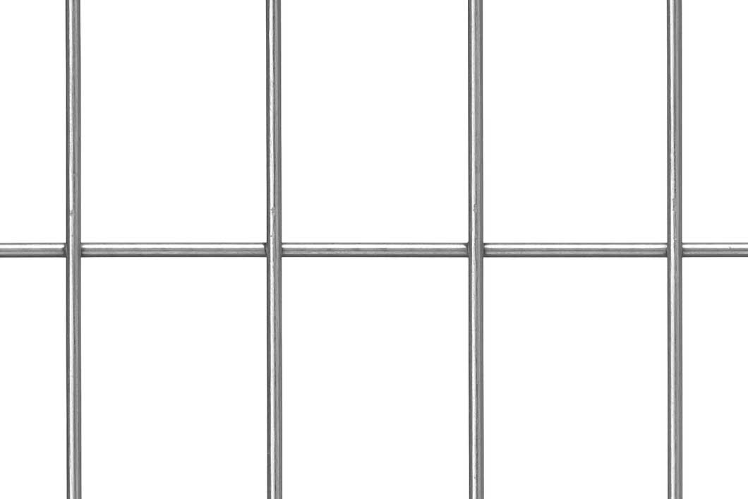 Geschweißte Gitter 50x100